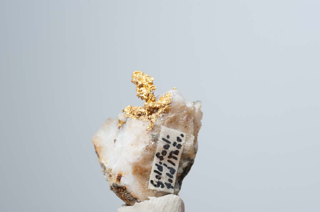 Dieses Foto zeigt Gold zusammen mit Quarz aus einem Goldquarzgang