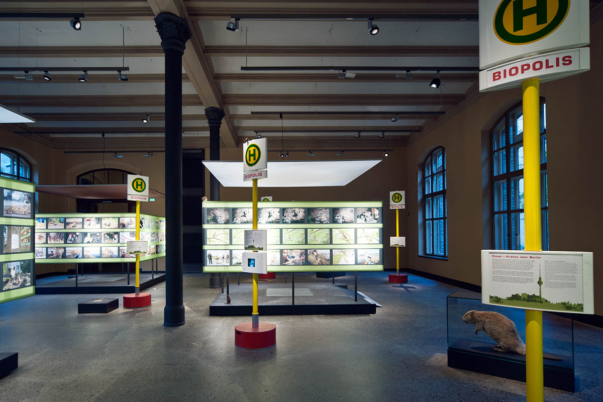 Foto: Carola Radke Das Foto gibt einen Einblick in die Ausstellung, viele Berliner Bushaltestellen-Schilder mit Informationstexten prägen die Ausstellungsgestaltung.