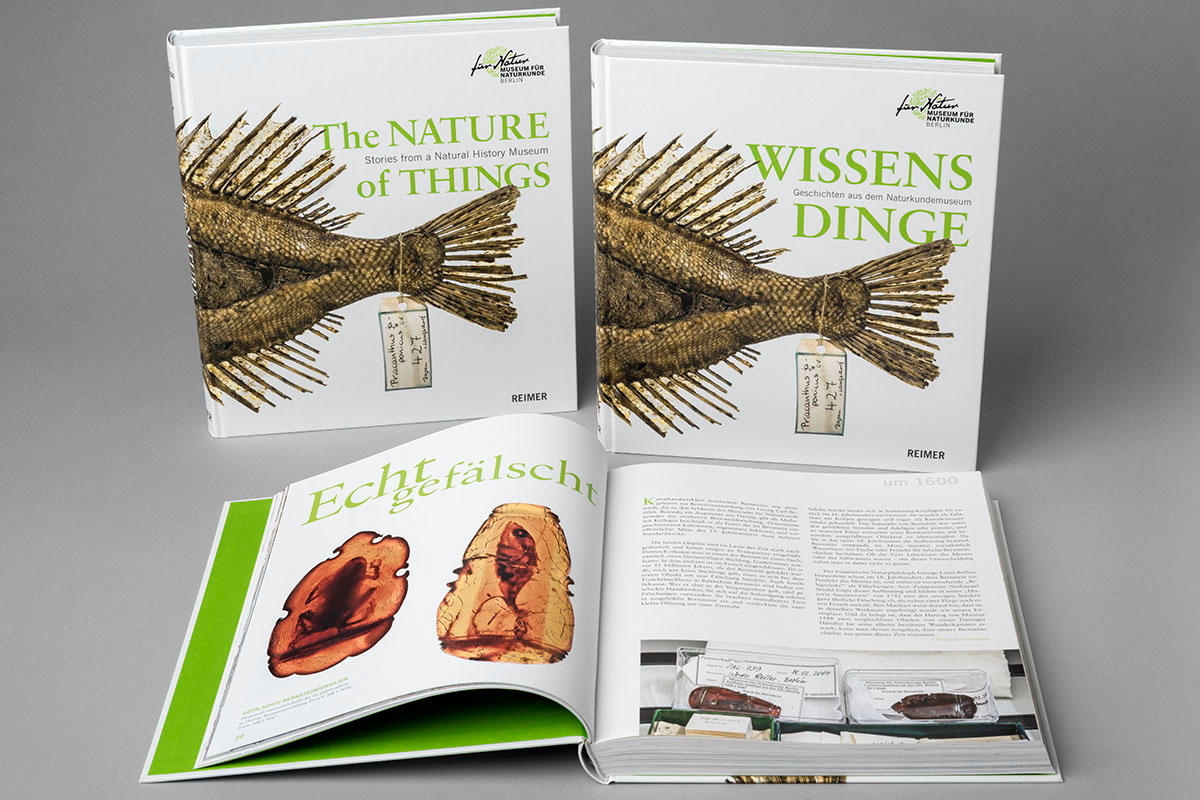Wissensdinge Wissensdinge