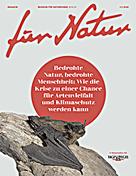 Tagesspiegel Magazin für Natur