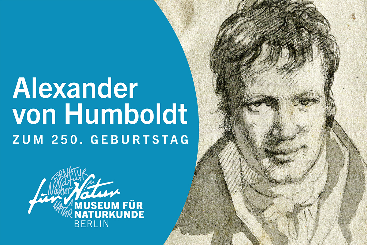 Alexander von Huboldt und die Erfindung der Natur PDF