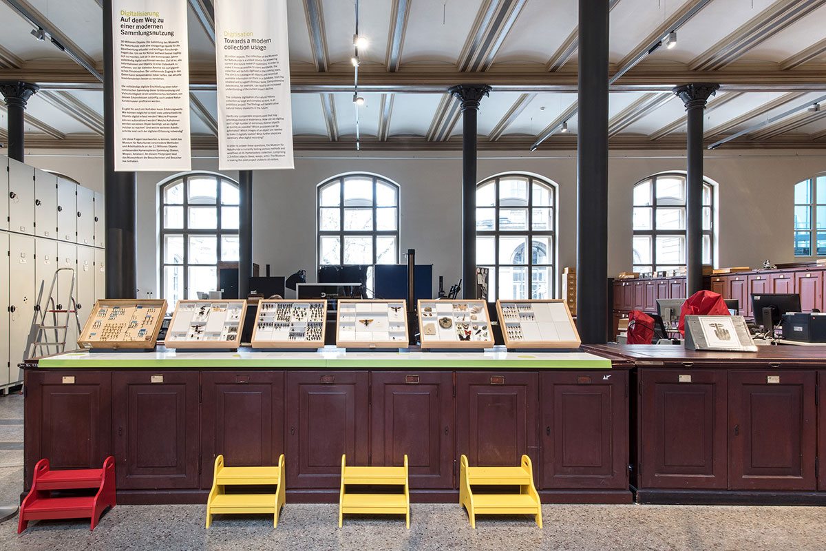 © Carola Radke, Museum für Naturkunde Berlin Digitalisierung Museum für Naturkunde Berlin