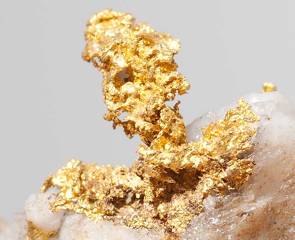 Gold Gold
