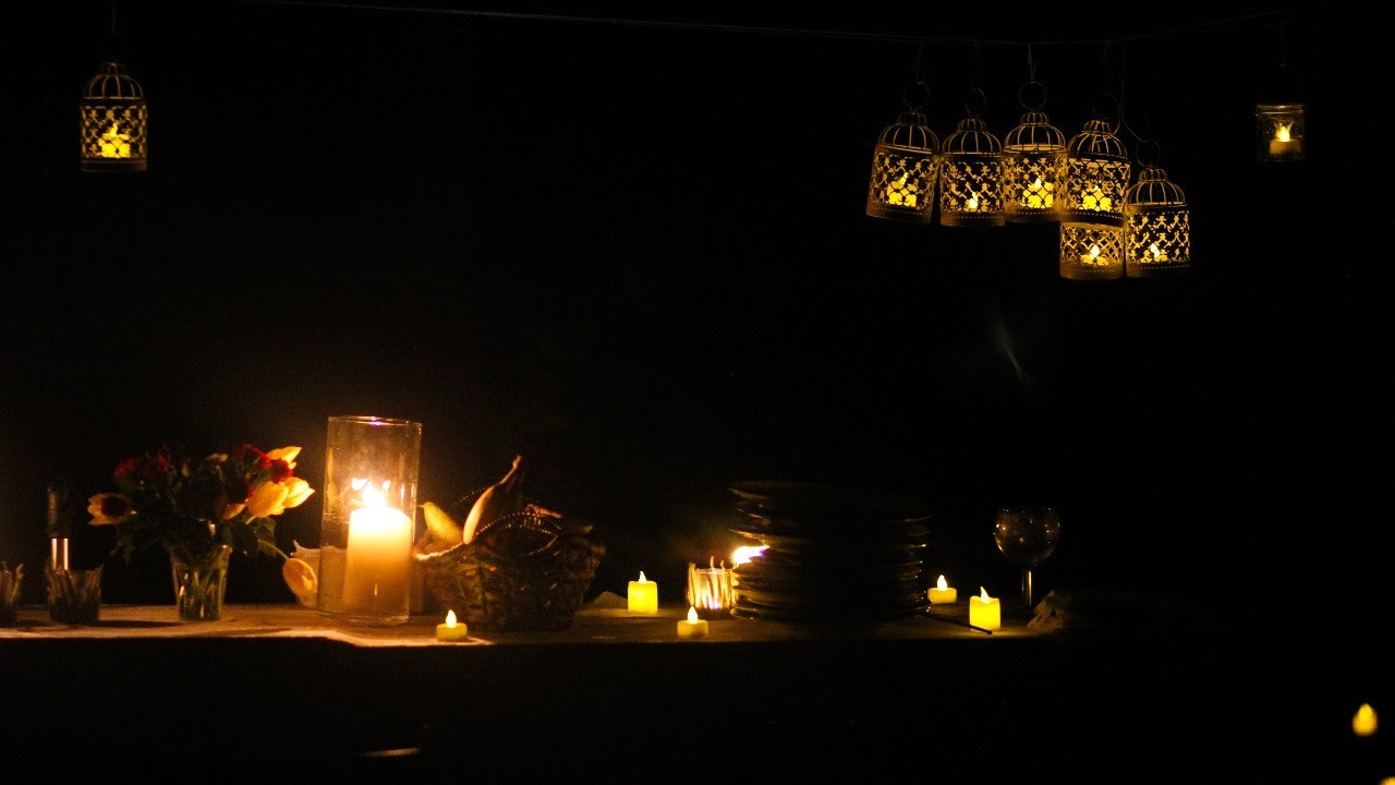 Reihe Berliner Stadtnatur Museum für Naturkunde