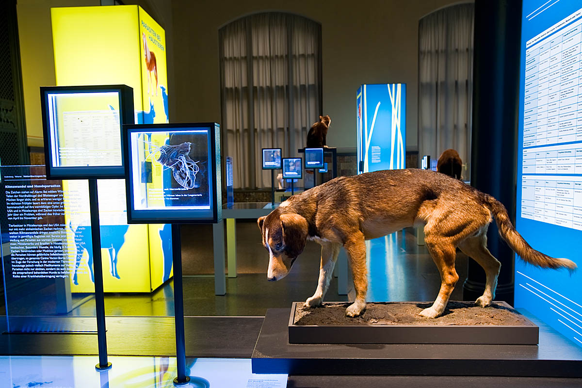 Das Foto gibt einen Einblick in die Ausstellung.