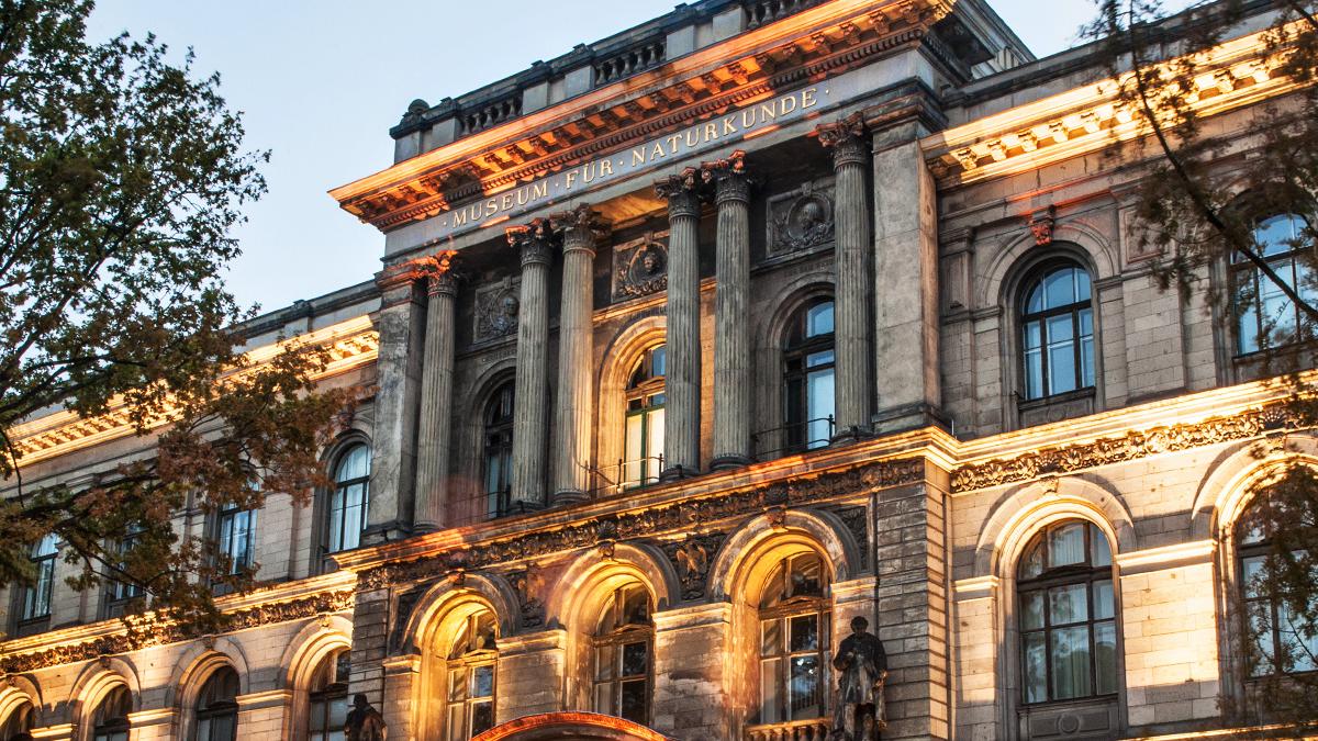 Museum für Naturkunde im Hellen 