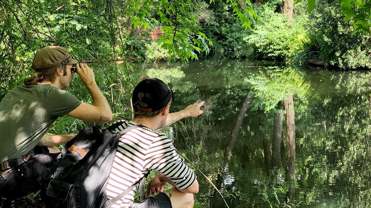 Zwei Personen beobachten Natur