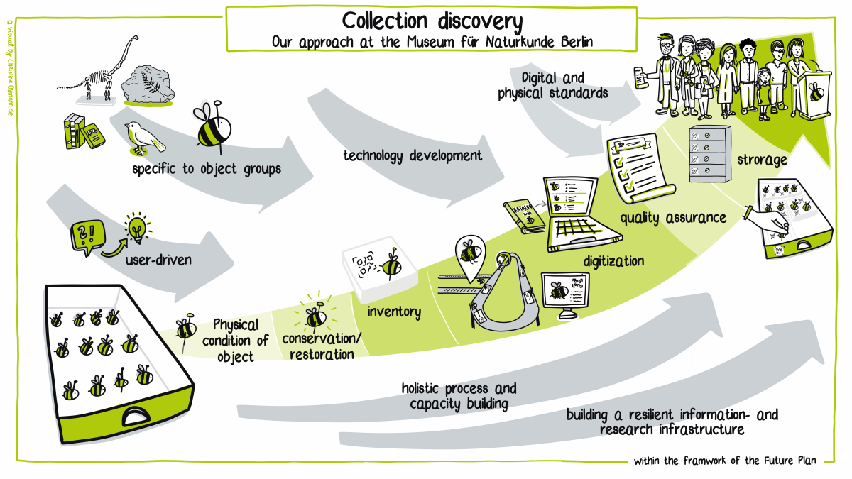 illustration process collection discovery and development