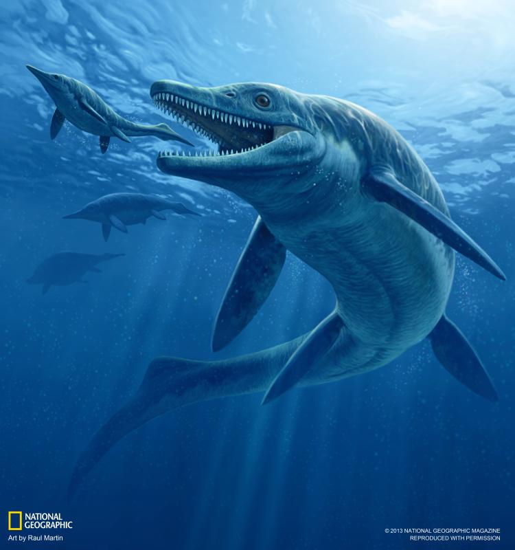 Ichthyosaurus