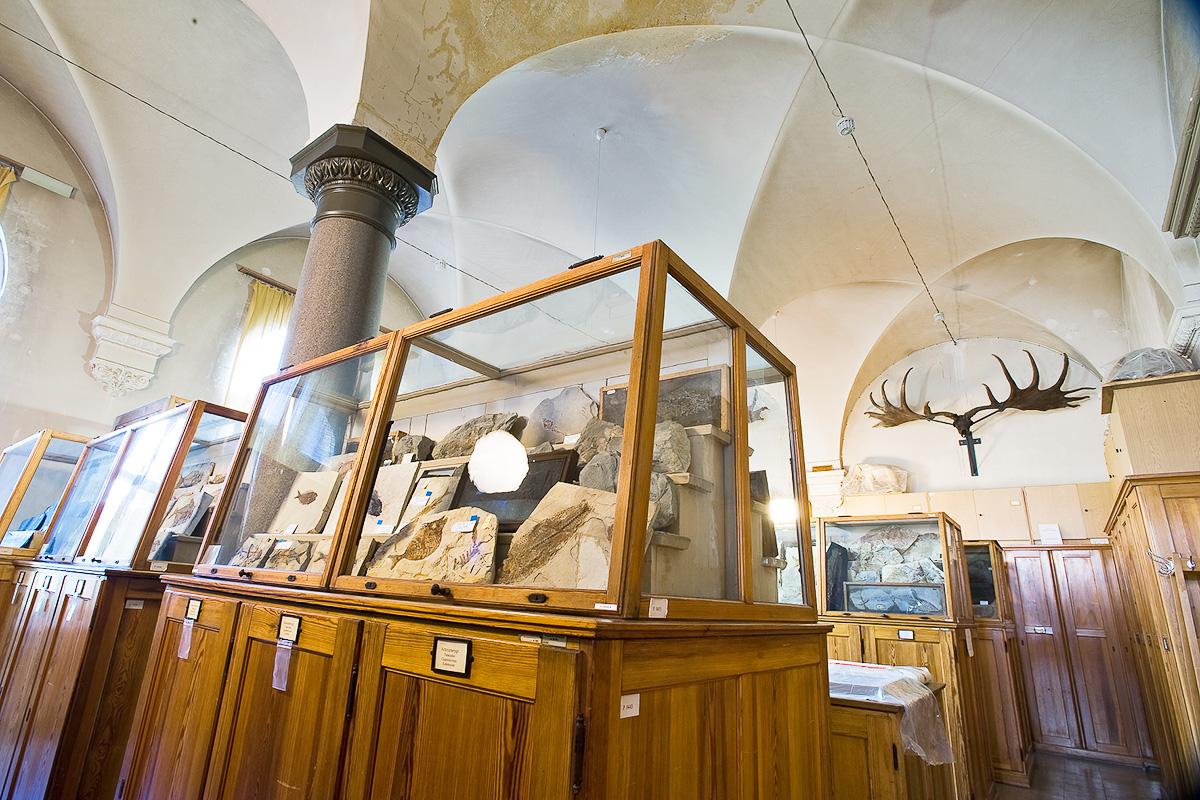 Blick in die Sammlung der fossilen Wirbeltiere, darunter auch Fische und Amphibien. Diese Sammlung des Museums für Naturkunde Berlin umfasst alle Großgruppen sowie eine histologische Schliffsammlung. 