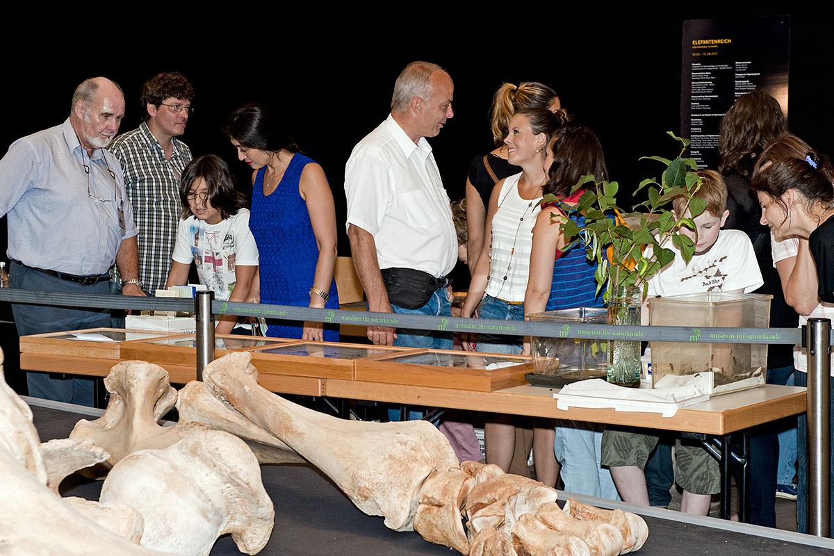 Das Foto zeigt Besucherinnen und Besucher in der Ausstellung des Museums für Naturkunde während der Langen Nacht der Museen.
