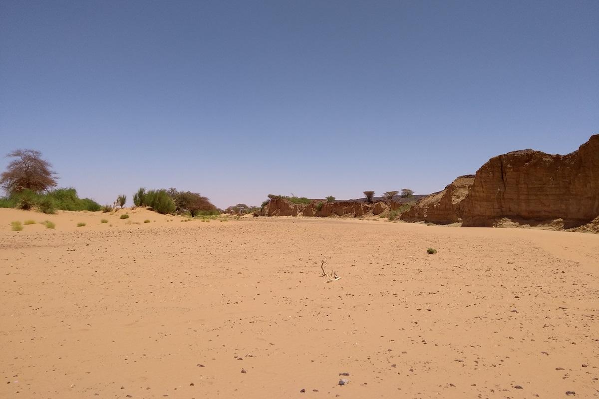 In diesem nur nach starken Regenfällen wasserführenden Flussbett in Sudan wurden Fossilien entdeckt. Die Fundstelle liegt am Felsen rechts im Bild. Foto: Clement Coiffard/Museum für Naturkunde Berlin