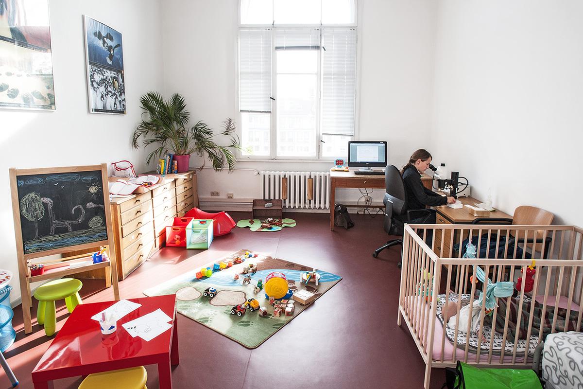 Familienzimmer als Arbeitsplatz im Museum für Naturkunde