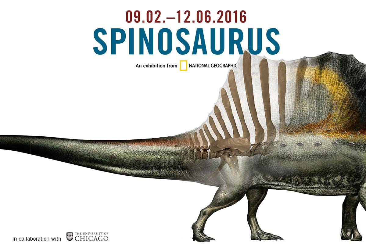 Was Spinosaurus Bigger Than T-Rex?