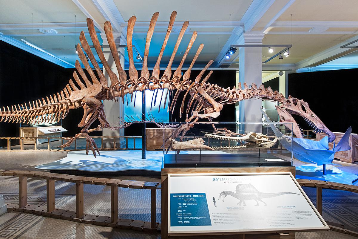 Spinosaurus - Sonderausstellung