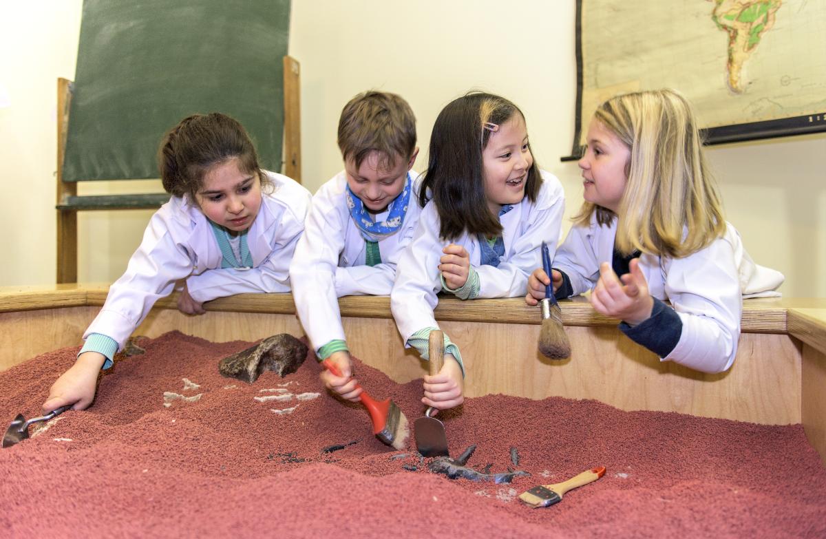 Kinder entdecken Fossilien in der Grabungskiste. | Bildquelle: Museum für Naturkunde Berlin Kinder entdecken Fossilien in der Grabungskiste. | Bildquelle: Museum für Naturkunde Berlin