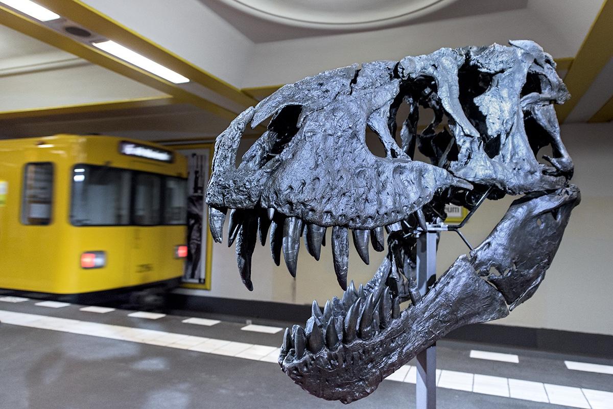 T. rex Tristan Otto im U-Bahnhof Naturkundemuseum