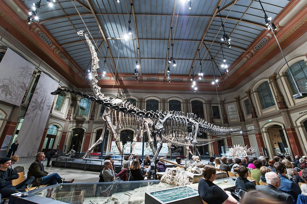 Filmzuschauer im Dinosauriersaal des Museums für Naturkunde Filmzuschauer im Dinosauriersaal des Museums für Naturkunde