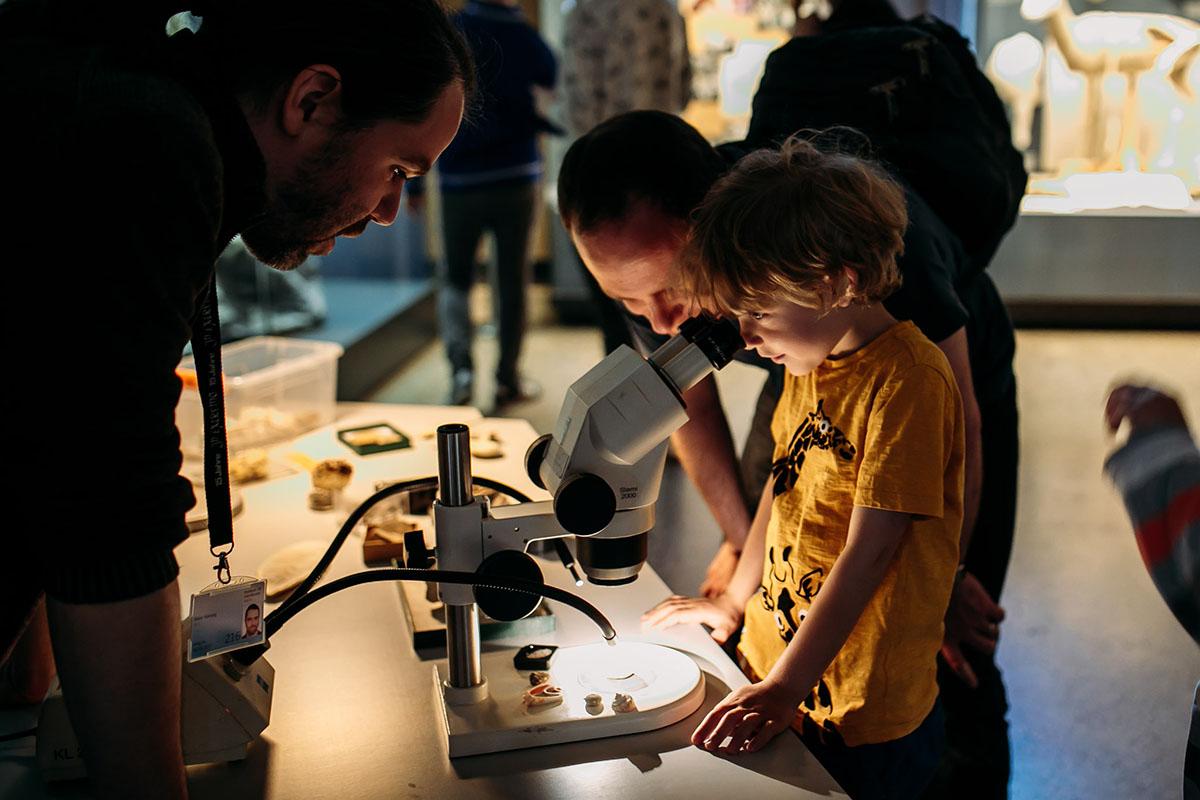 Mikroskopieren beim Thementag ein Geschmack der Zukunft der Meere im Museum für Naturkunde Berlin