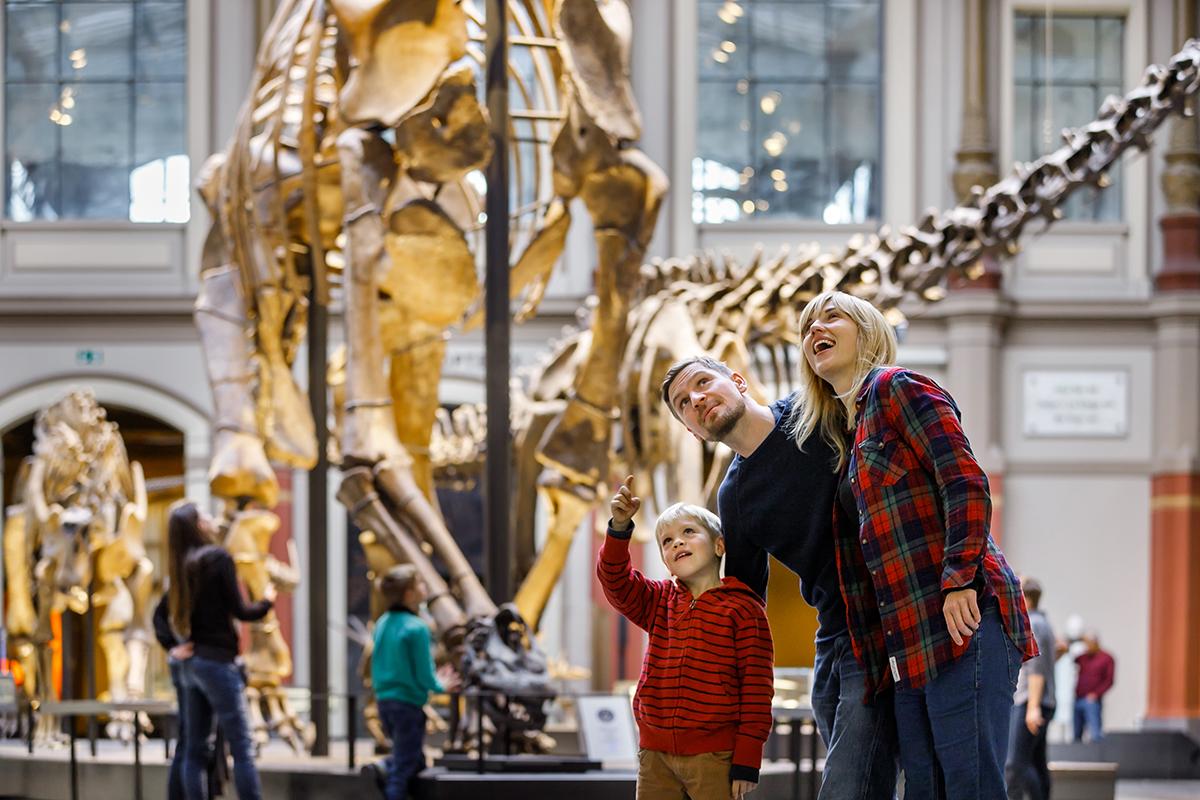 Ausstellung Sauriersaal