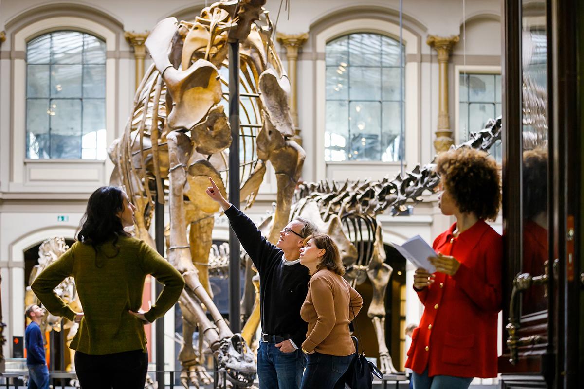 Blick vom Foyer in den Sauriersaal des Museums für Naturkunde