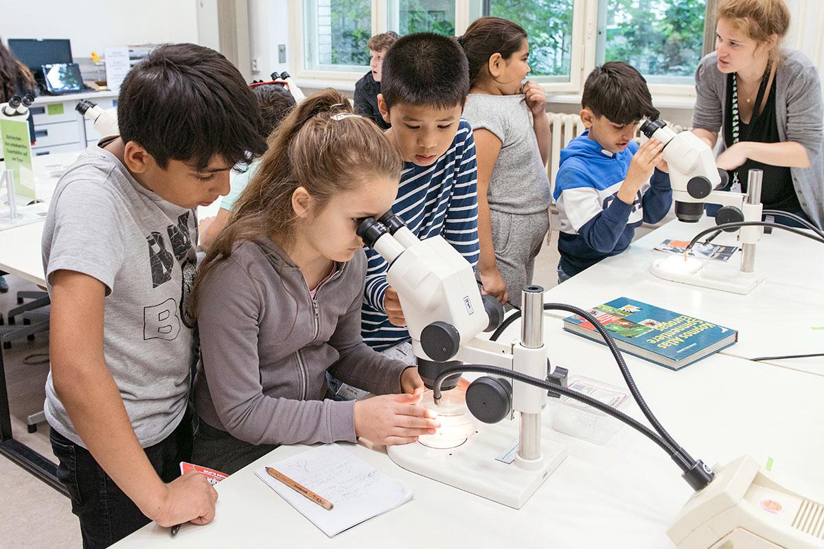 Kinder betrachten Objekte im Mikroskopierzentrum des Museums. | Bildquelle: Museum für Naturkunde Berlin