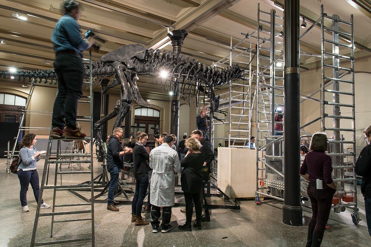 Abbau T. rex Tristan Otto Abbau T. rex Tristan Otto