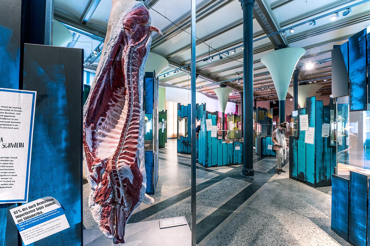 Einblick in die Sonderausstellung Ara des Museums für Naturkunde Berlin