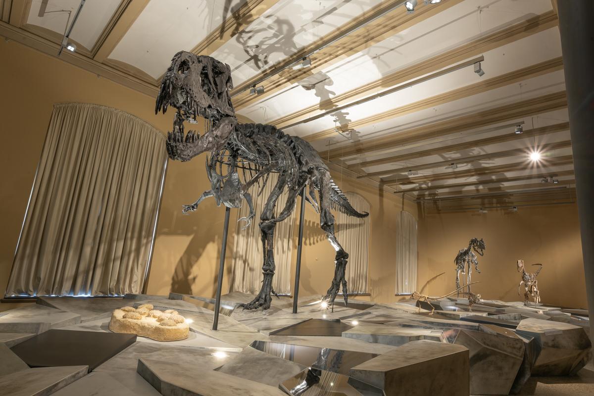 Dinosaurier! Museum-Naturkunde-Berlin-©PeterAdamik.jpg