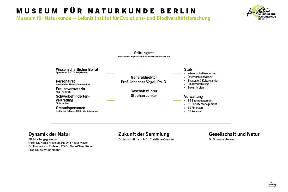 Organigramm 2021deutsch Organigramm 2021deutsch