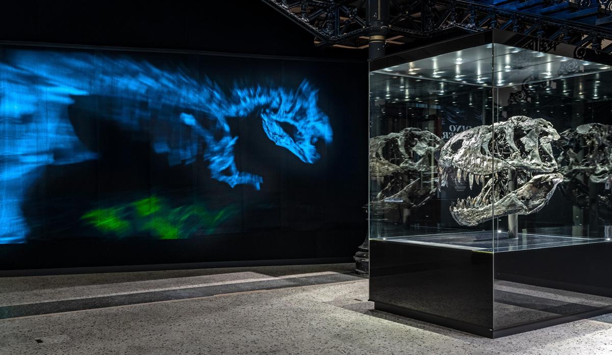 T. rex Schädel vor einer bunten Projektion an der Wand. | Bildquelle: Museum für Naturkunde Berlin, Carola Radke