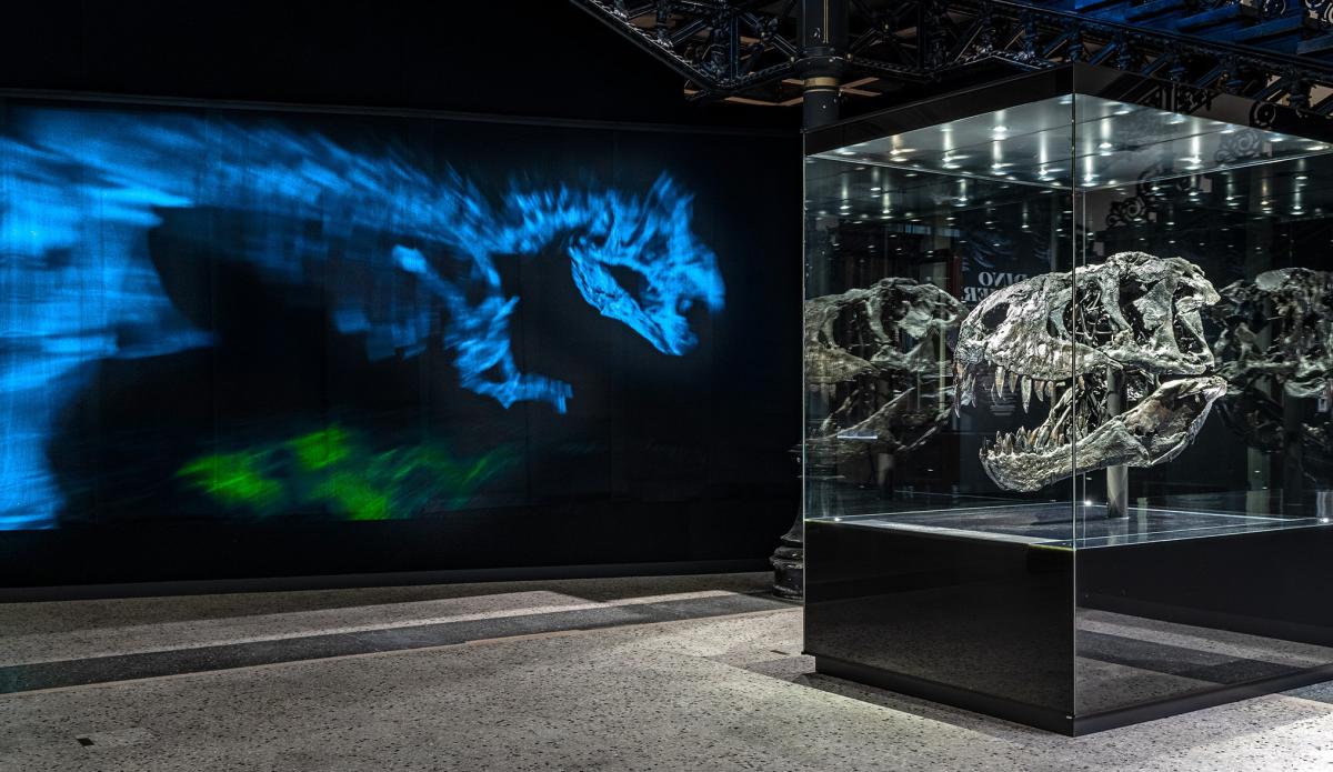 T. rex Schädel vor einer bunten Projektion an der Wand. | Bildquelle: Museum für Naturkunde Berlin, Carola Radke T. rex Schädel vor einer bunten Projektion an der Wand. | Bildquelle: Museum für Naturkunde Berlin, Carola Radke