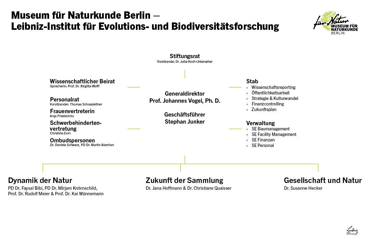 Organigramm in Deutsch Organigramm in Deutsch