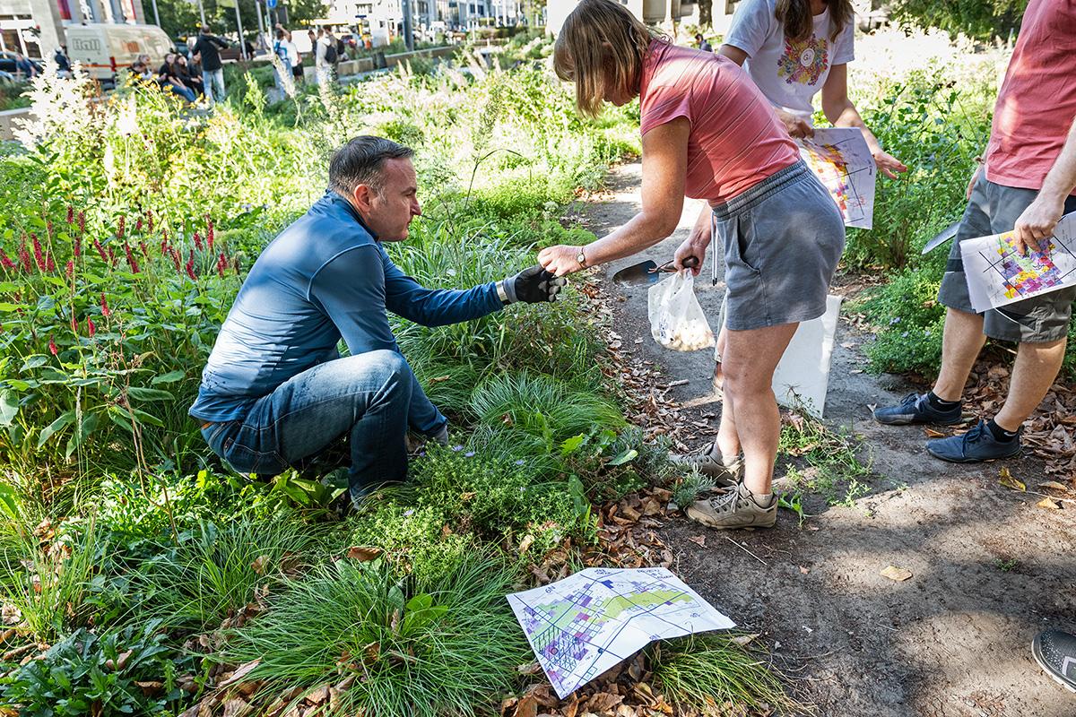 People gardening in the front garden and special exhibition Pollinator-Pathmaker at the Museum für Naturkunde Berlin 