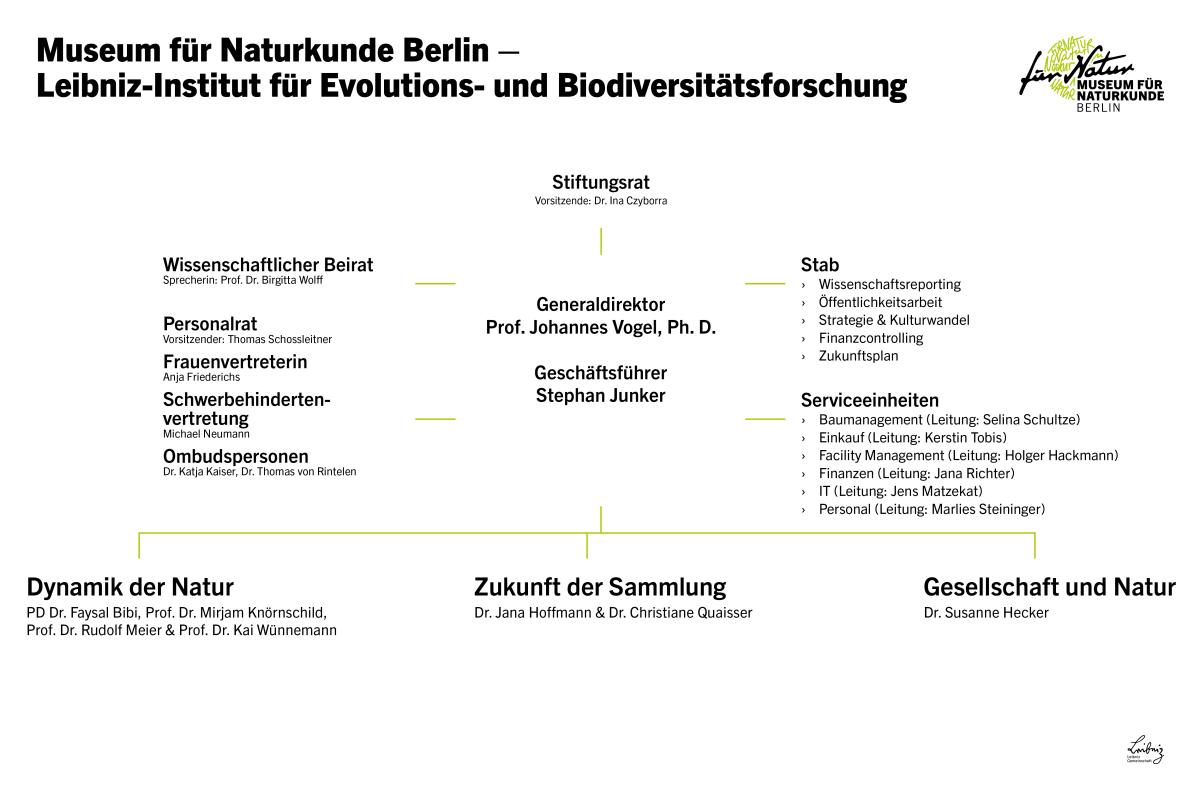 Organigramm des Museums in Deutsch