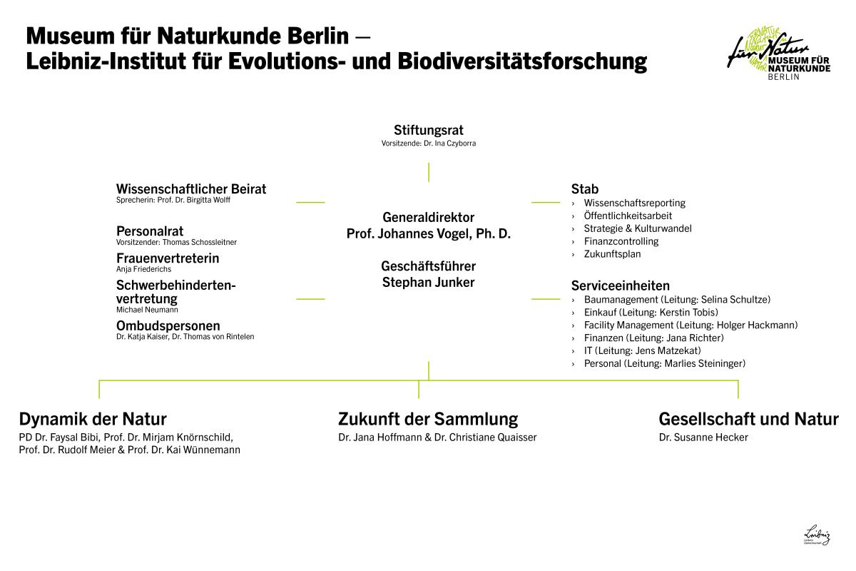 Organigramm des Museums in Deutsch Organigramm des Museums in Deutsch