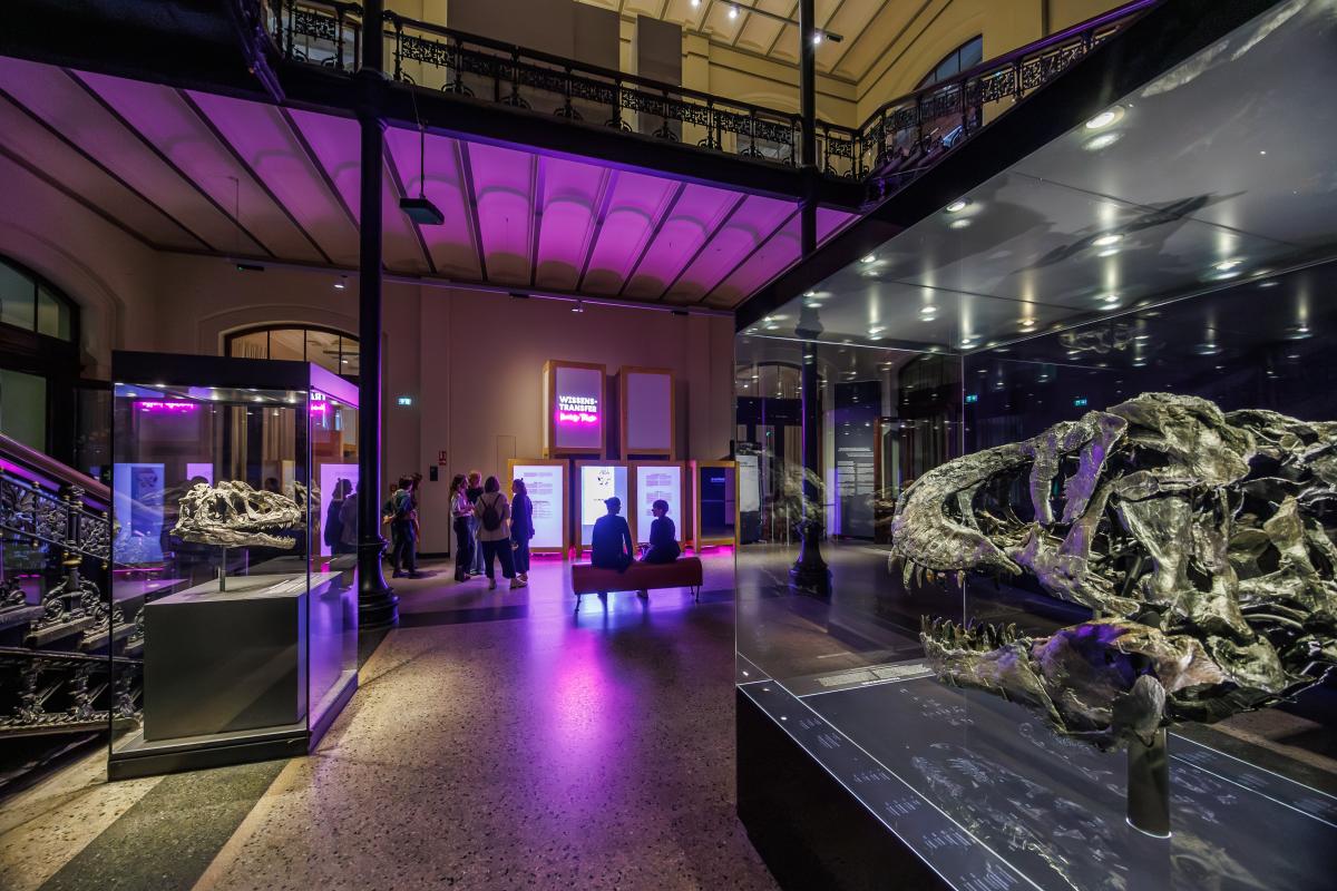 Pink beleuchtete Transportboxen stapeln sich hinter Vitrinen mit Dino-Schädeln.