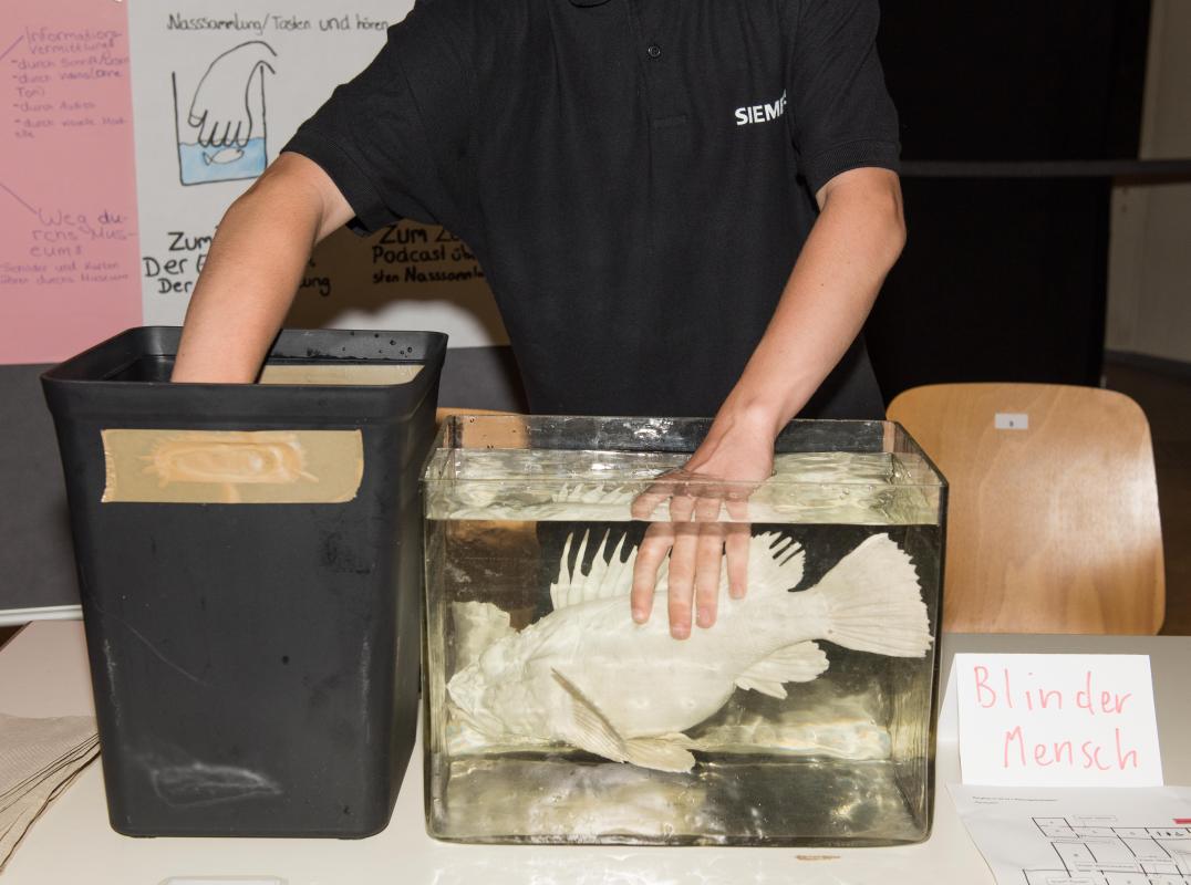 Schüler:innen an ihrem Schulprojektstand mit einer Fischinstallation im Sauriersaal des MfN