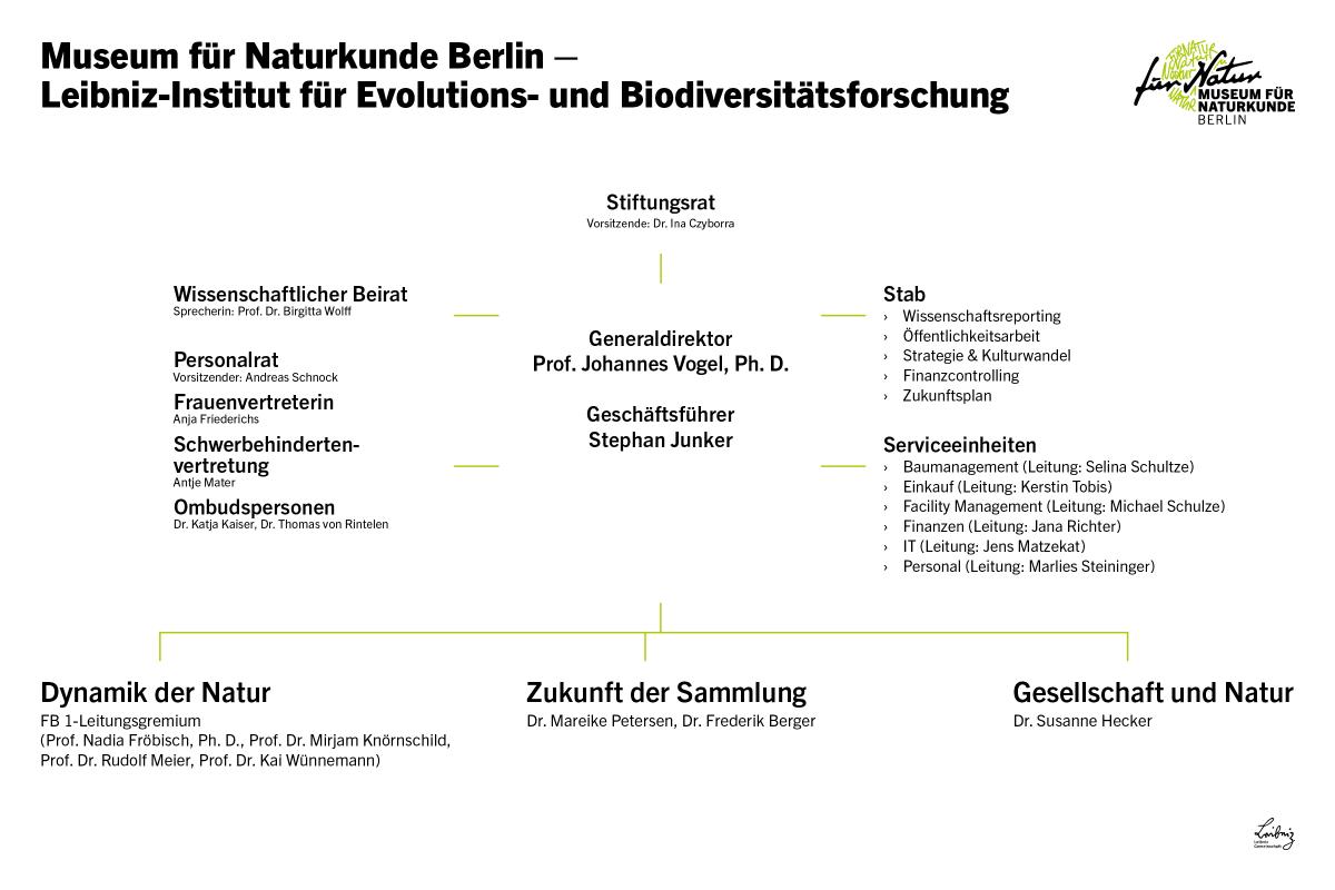 Der Strukturbaum zur Organisation des Museums für Naturkunde Berlin. Der Strukturbaum zur Organisation des Museums für Naturkunde Berlin.