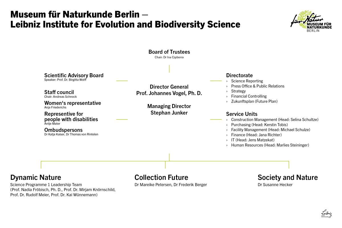 The structure tree of the Museum für Naturkunde Berlin.