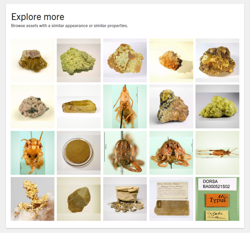 Example of functionality to browse asstes with the similar appearance or similar properties. Example of functionality to browse asstes with the similar appearance or similar properties.