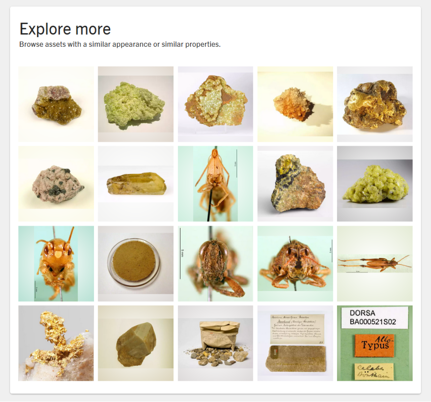 Example of functionality to browse asstes with the similar appearance or similar properties.
