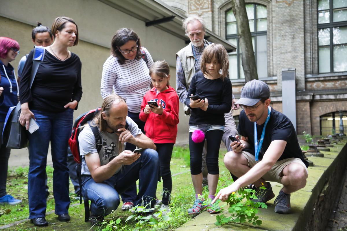 Eine Gruppe von Personen nutzt die App Naturblick zur Pflanzenbestimmung. 