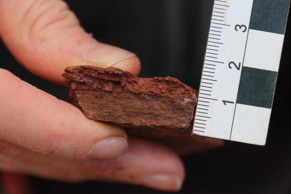 Close-up of a rock sample from Bromacker; held next to a ruler as a scale. 