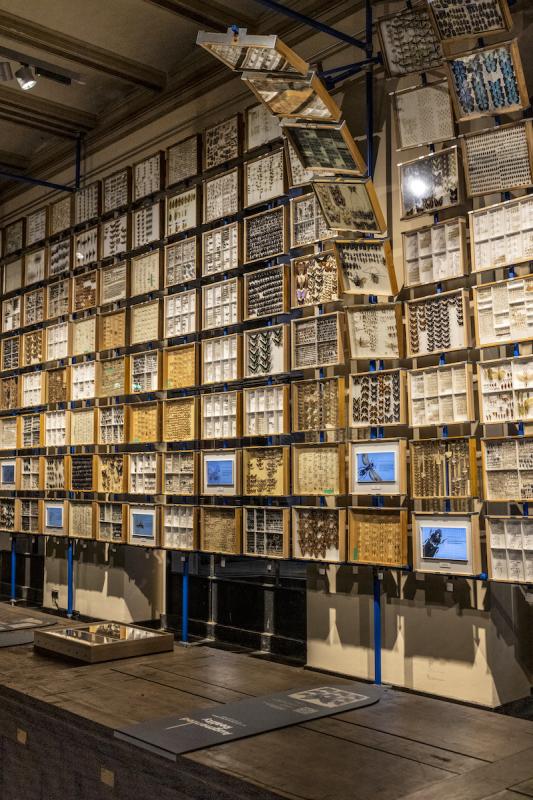 Reise zu den Dingen: Die Ausstellung digitize! im Erdgeschoss des Museums für Naturkunde Berlin 