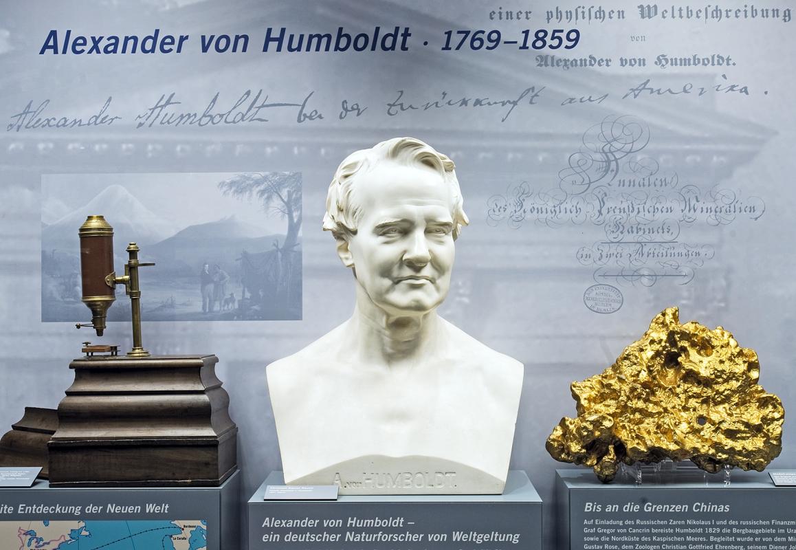 Hier ist die Büste von Alexander von Humboldt im Mineraliensaal zu sehen. 