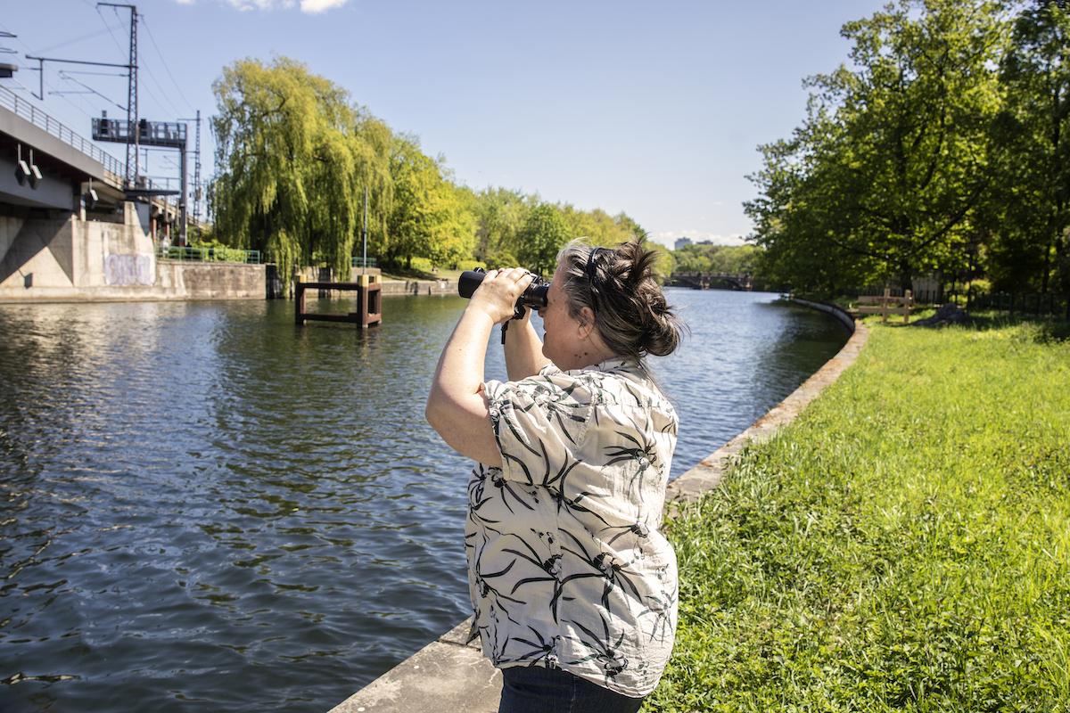 Eine Ehrenamtliche beobachtet mit einem Fernglas Vögel am Fluss Panke in Berlin