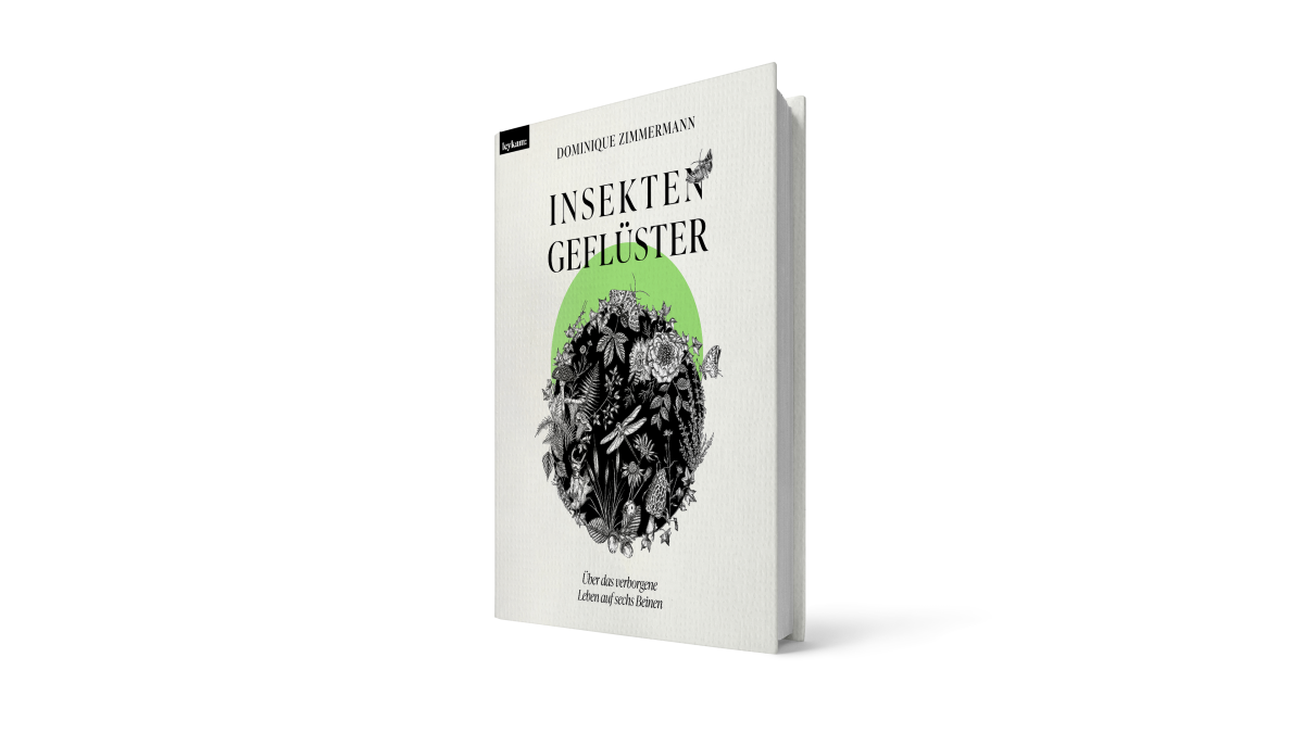 Buchcover von Insektengeflüster von Dominique Zimmermann