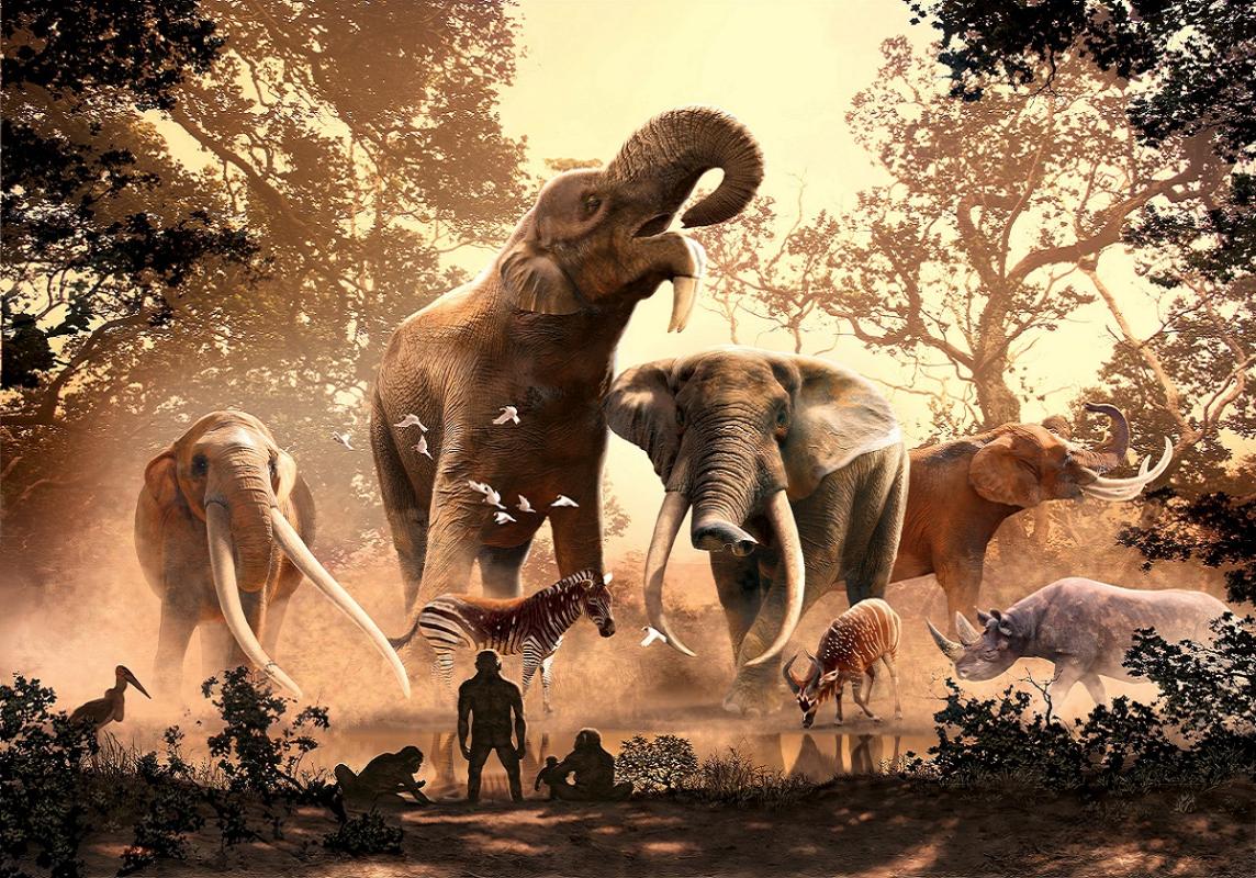 Elephant_landscape_c_Julius Csotonyi