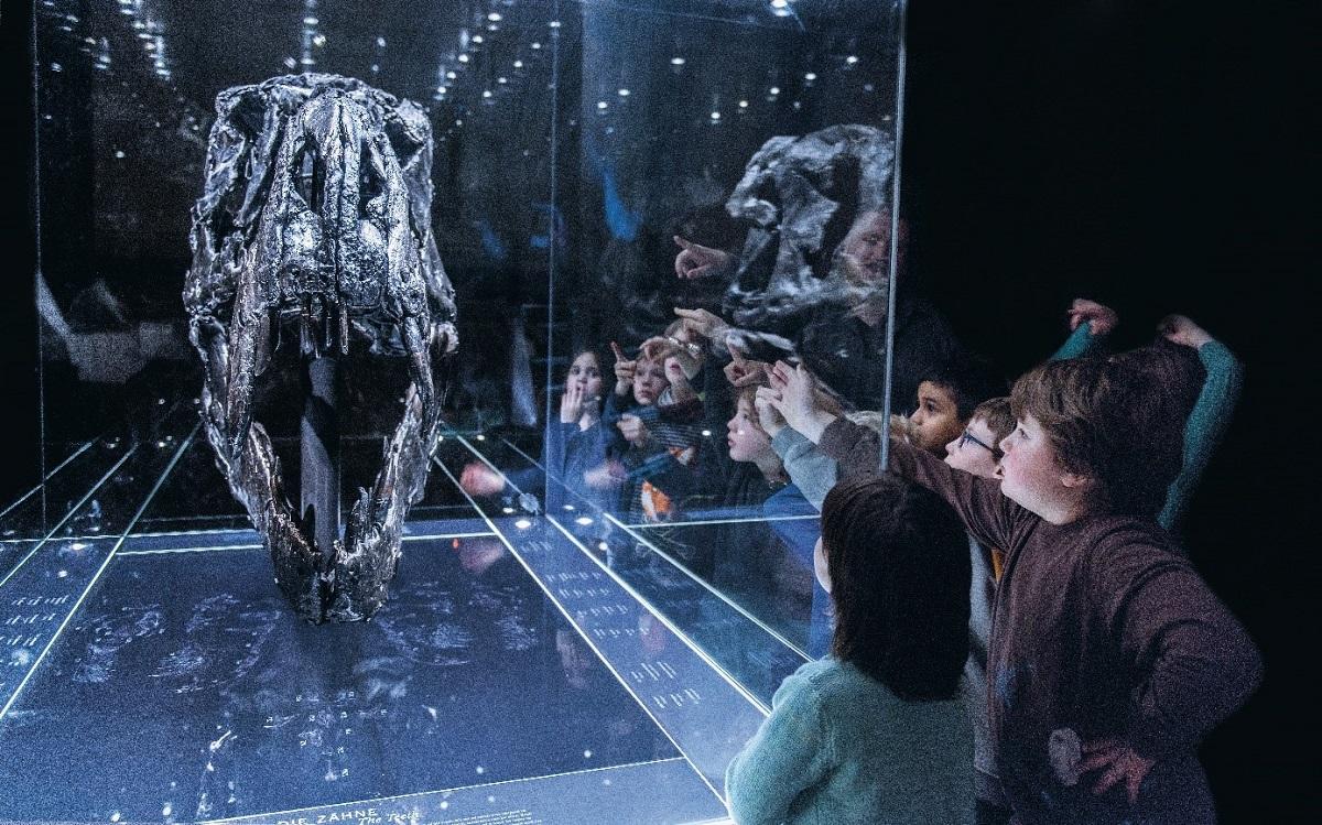 Kinder betrachten Tyrannosaurus Rex Schädel in Vitrine